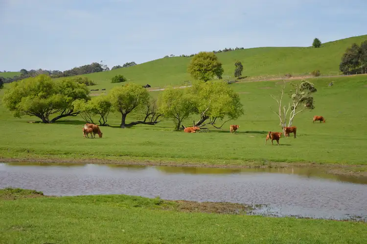 Second view of Homely rural property listing, 80 Old Koonwarra-Meeniyan Road, Koonwarra VIC 3954
