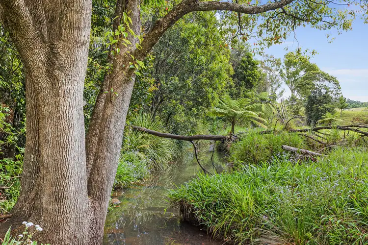 Third view of Homely rural property listing, 597 Houghlahans Creek Road, Pearces Creek NSW 2477