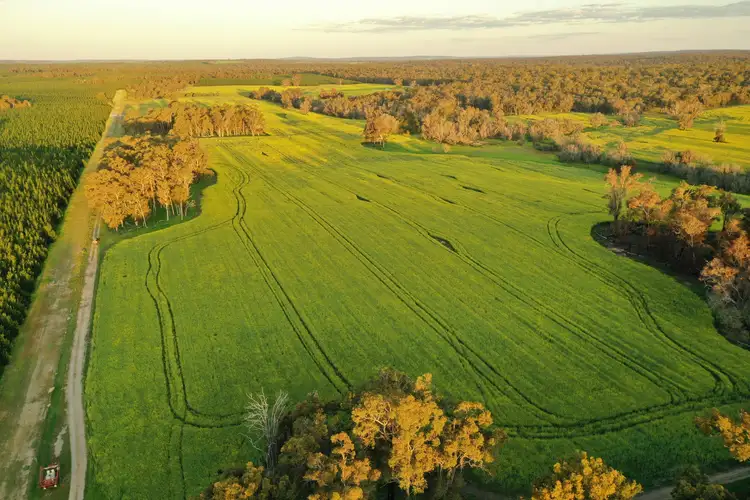 2099 Bowelling-Mcalinden Road