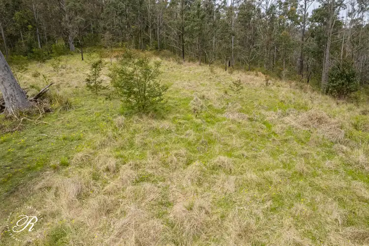 Sixth view of Homely rural property listing, 561 Black Camp Rd, Nooroo Via, Stroud NSW 2425