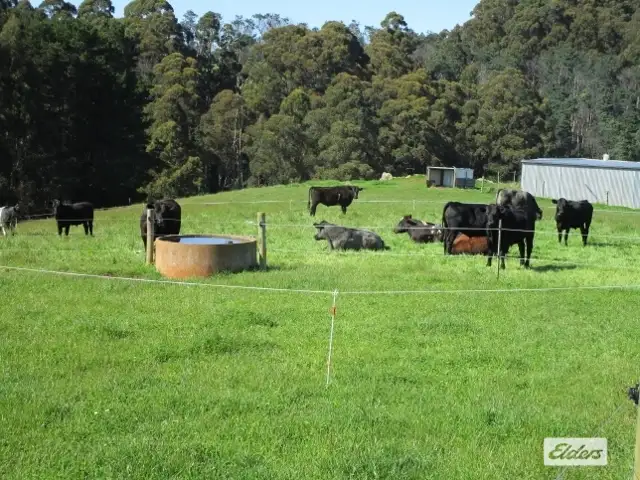 Second view of Homely rural property listing, 175 Allison Road, North Motton TAS 7315