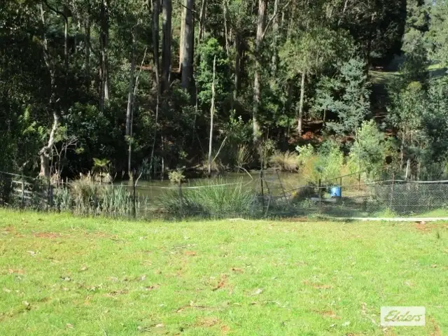 Third view of Homely rural property listing, 175 Allison Road, North Motton TAS 7315