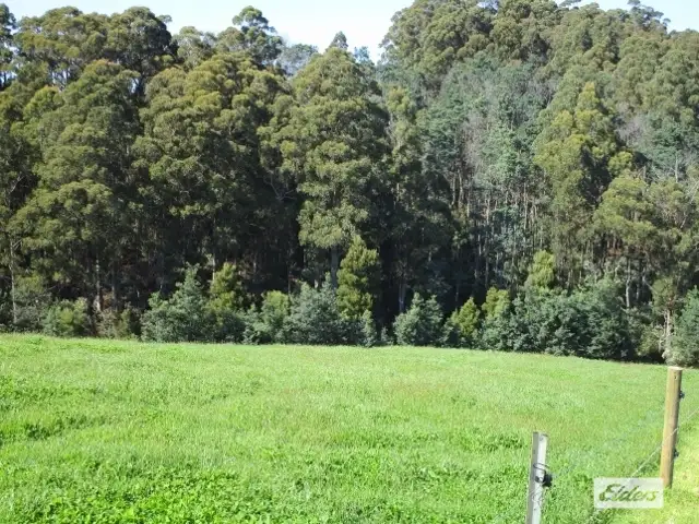 Sixth view of Homely rural property listing, 175 Allison Road, North Motton TAS 7315