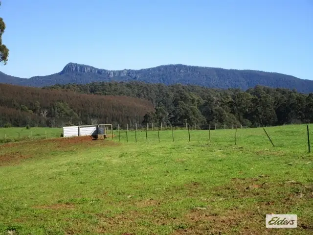Seventh view of Homely rural property listing, 175 Allison Road, North Motton TAS 7315