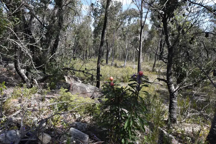 Fourth view of Homely land listing, 70 Wattle Ridge Road, Hill Top NSW 2575