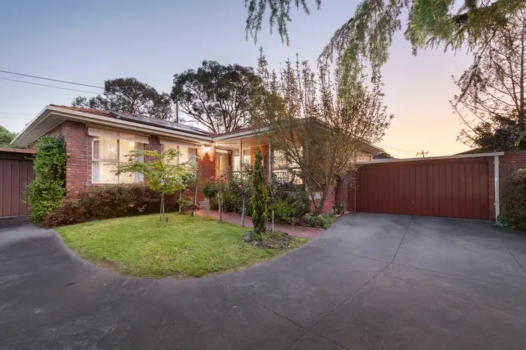 16/231-239 Canterbury Road, Blackburn VIC 3130