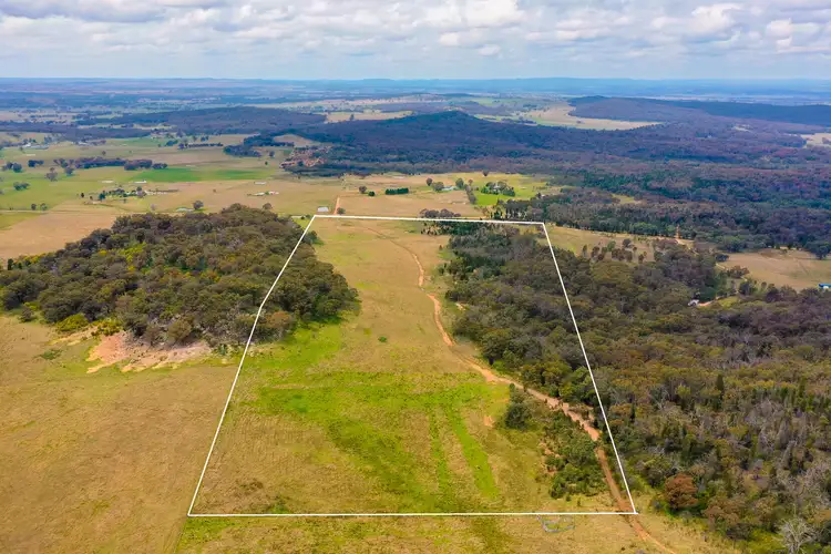 Main view of Homely rural property listing, 189 Montaza Road, Gulgong NSW 2852