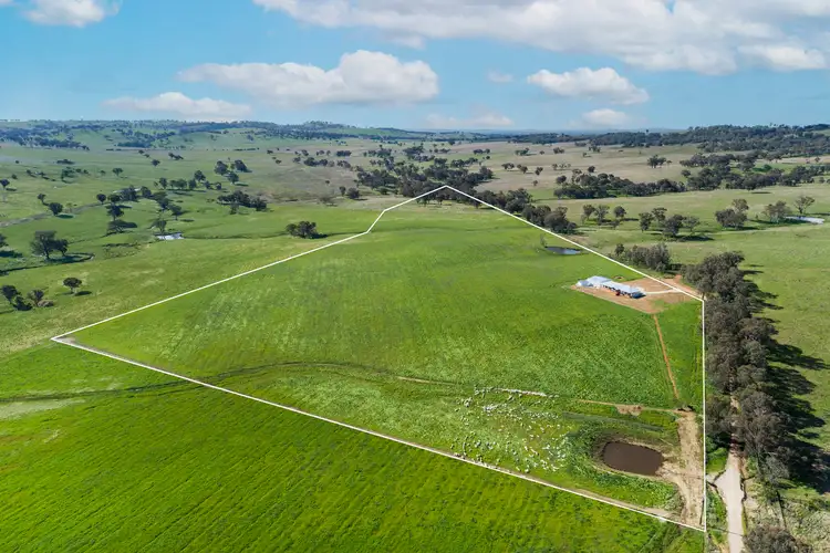 Third view of Homely rural property listing, 221 Sills Lane, Mudgee NSW 2850