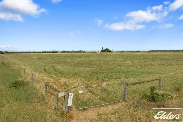 Seventh view of Homely rural property listing, 231 Lake Road, Milang SA 5256