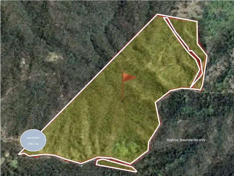 Fourth view of Homely rural property listing, 215 Martin Road, Nymboida NSW 2460