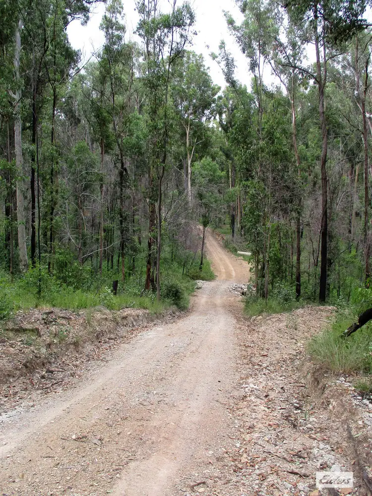 Fourth view of Homely rural property listing, 215 Martin Road, Nymboida NSW 2460