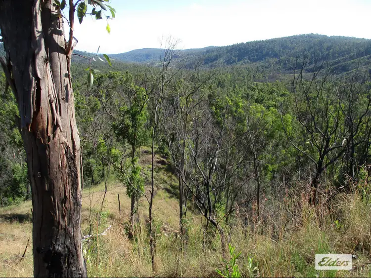 Sixth view of Homely rural property listing, 215 Martin Road, Nymboida NSW 2460