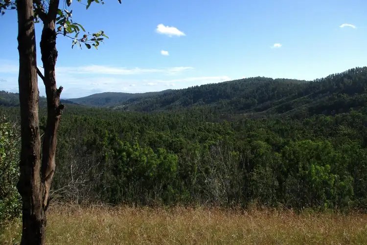 Seventh view of Homely rural property listing, 215 Martin Road, Nymboida NSW 2460