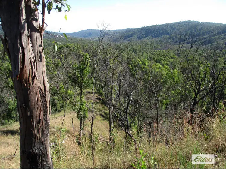 Seventh view of Homely rural property listing, 215 Martin Road, Nymboida NSW 2460