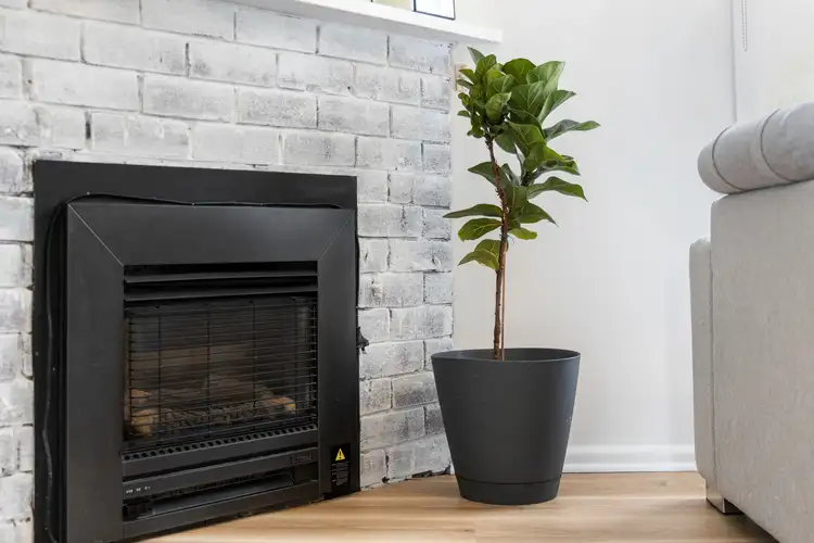 Fourth view of Homely house listing, 22 Cameron Road, Queanbeyan NSW 2620