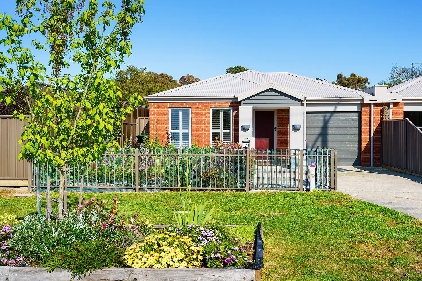 Main view of Homely house listing, 1/1 Wilkie Street, Castlemaine VIC 3450