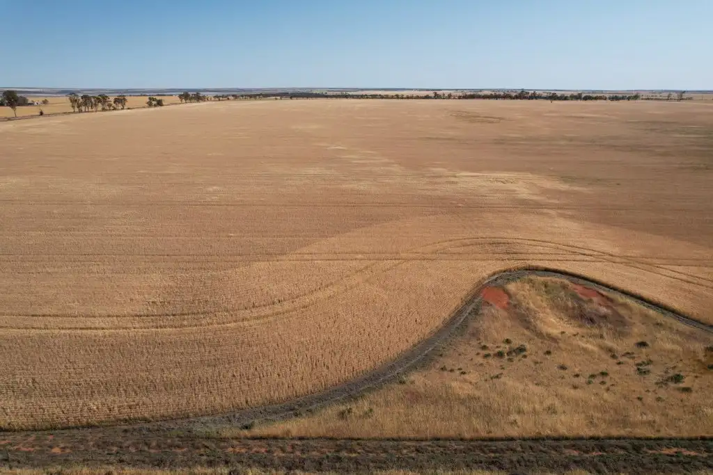Main view of Homely rural property listing, LOT 176 Wyalkatchem - Koorda Road, Dukin WA 6475