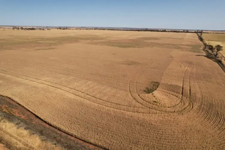Second view of Homely rural property listing, LOT 176 Wyalkatchem - Koorda Road, Dukin WA 6475