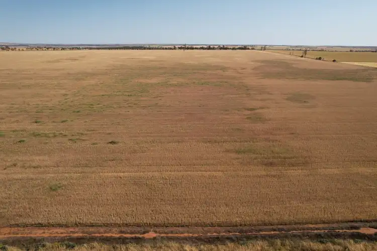 Third view of Homely rural property listing, LOT 176 Wyalkatchem - Koorda Road, Dukin WA 6475