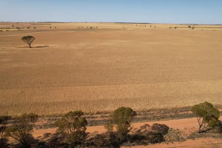 Fourth view of Homely rural property listing, LOT 176 Wyalkatchem - Koorda Road, Dukin WA 6475