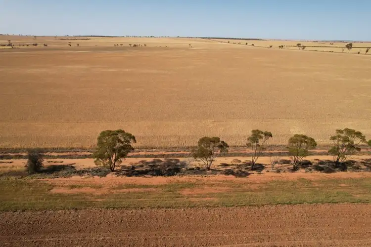 Fifth view of Homely rural property listing, LOT 176 Wyalkatchem - Koorda Road, Dukin WA 6475