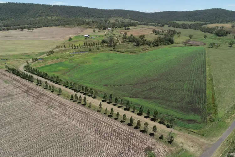 Second view of Homely rural property listing, 1048 MacGinley Road, Budgee QLD 4359