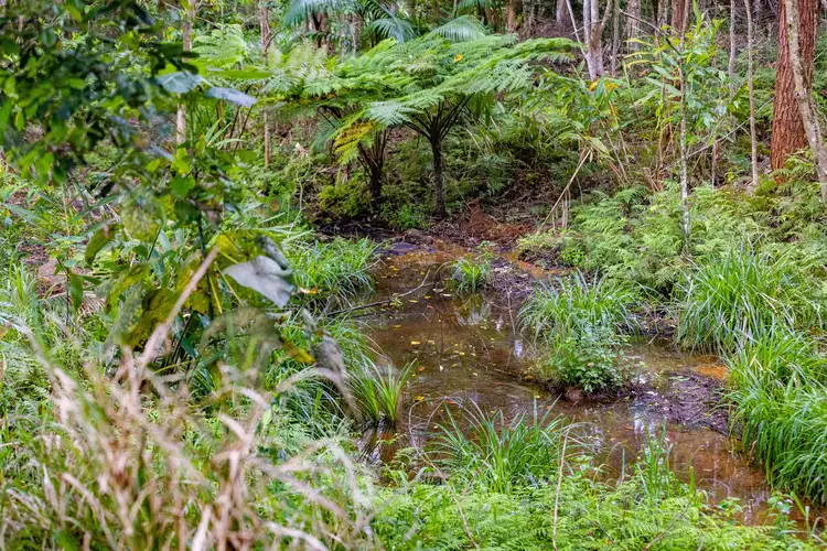 Fifth view of Homely land listing, 11 Andrews Close, Woombye QLD 4559