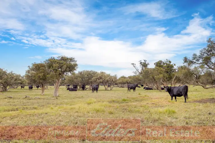 Second view of Homely rural property listing, Lot 7 Clarke Road, Elgin WA 6237