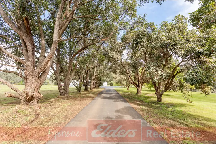 Main view of Homely house listing, 87 Argyle Road, Argyle WA 6239
