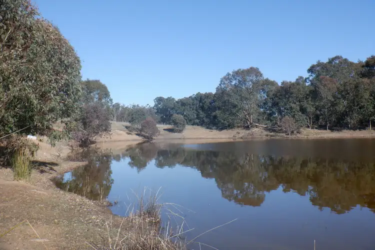 Lot 200 Yarri Road, Manjimup WA 6258