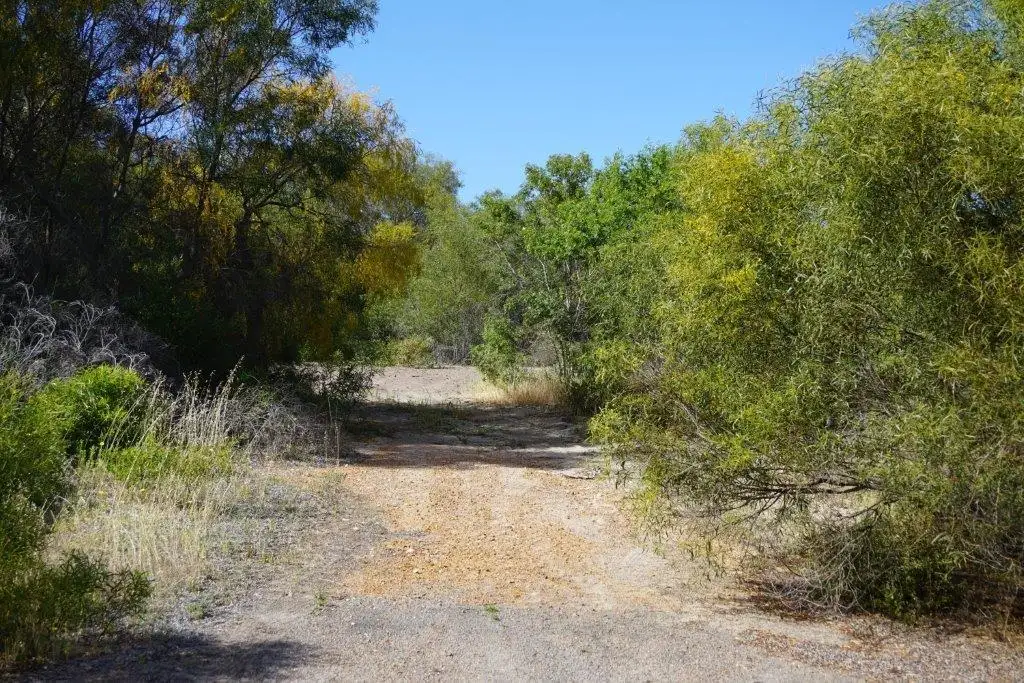 Main view of Homely land listing, 124 Bottlebrush Cove, Port Denison WA 6525