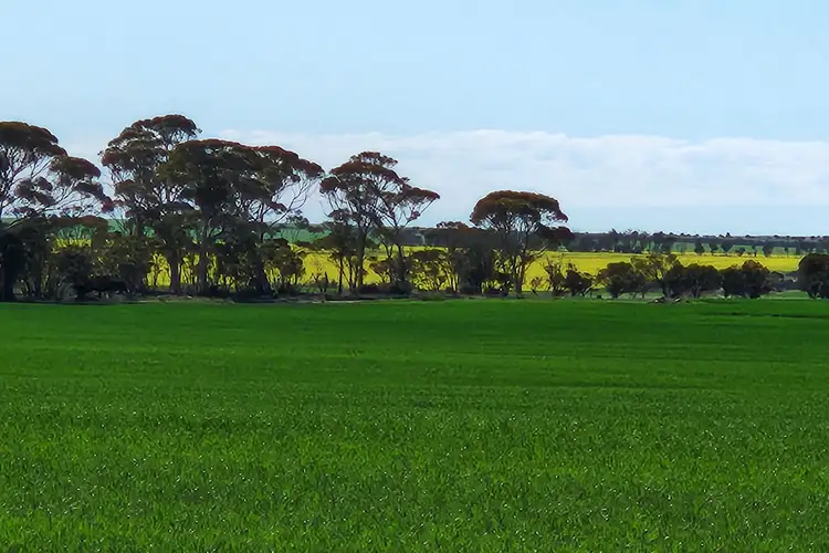 Second view of Homely rural property listing, Murray Rocks Road, Hyden WA 6359