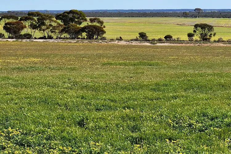 Seventh view of Homely rural property listing, Murray Rocks Road, Hyden WA 6359
