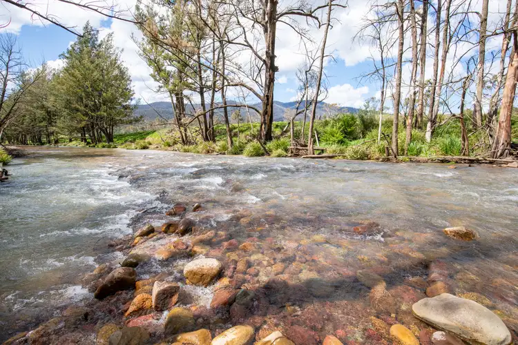 Fourth view of Homely rural property listing, 126 Bourkes Road, Yowrie NSW 2550