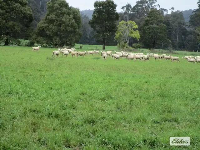 Third view of Homely rural property listing, 539 Wilmot Road, Forth TAS 7310
