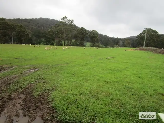 Fifth view of Homely rural property listing, 539 Wilmot Road, Forth TAS 7310