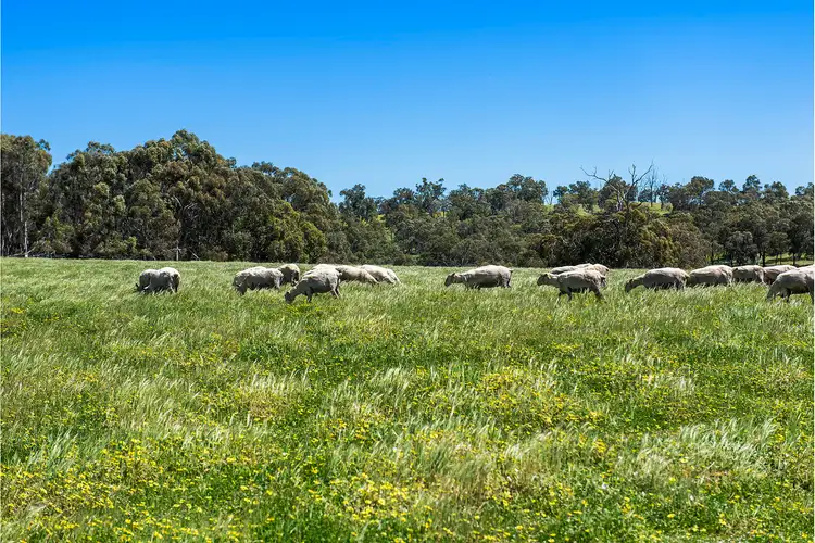Sixth view of Homely rural property listing, 137 Densley Road, Bindoon WA 6502