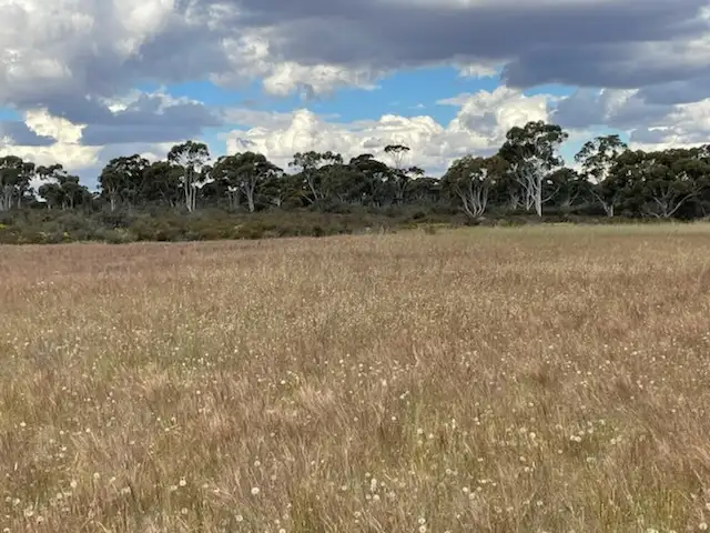 Fifth view of Homely rural property listing, LOT 20072 Minchin South Road, Balkuling WA 6383