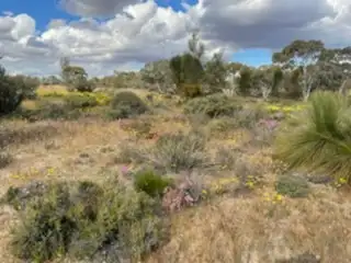 Sixth view of Homely rural property listing, LOT 20072 Minchin South Road, Balkuling WA 6383
