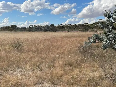 Seventh view of Homely rural property listing, LOT 20072 Minchin South Road, Balkuling WA 6383