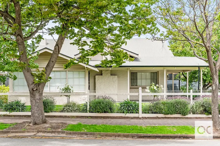 31 Millswood Crescent, Millswood SA 5034