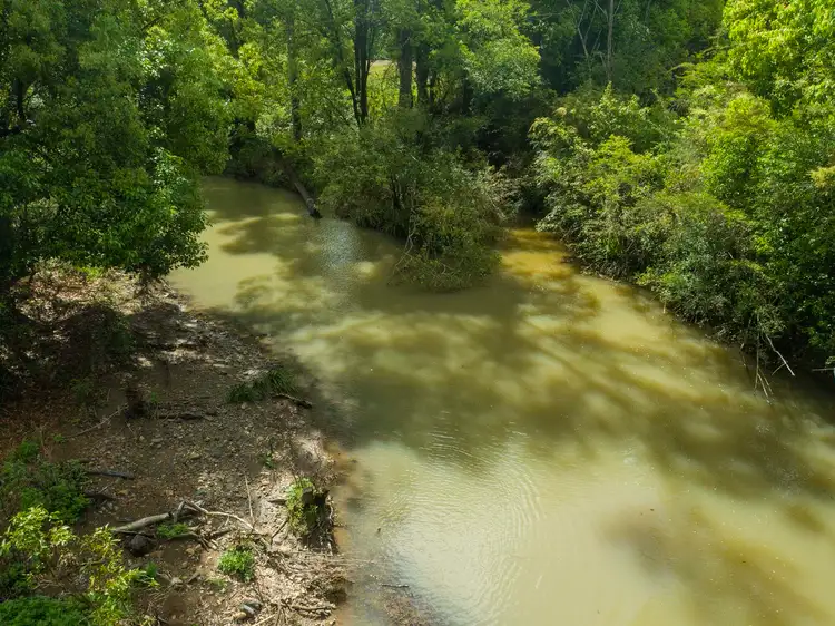 Fifth view of Homely rural property listing, 74 Tuntable Falls Road, Nimbin NSW 2480
