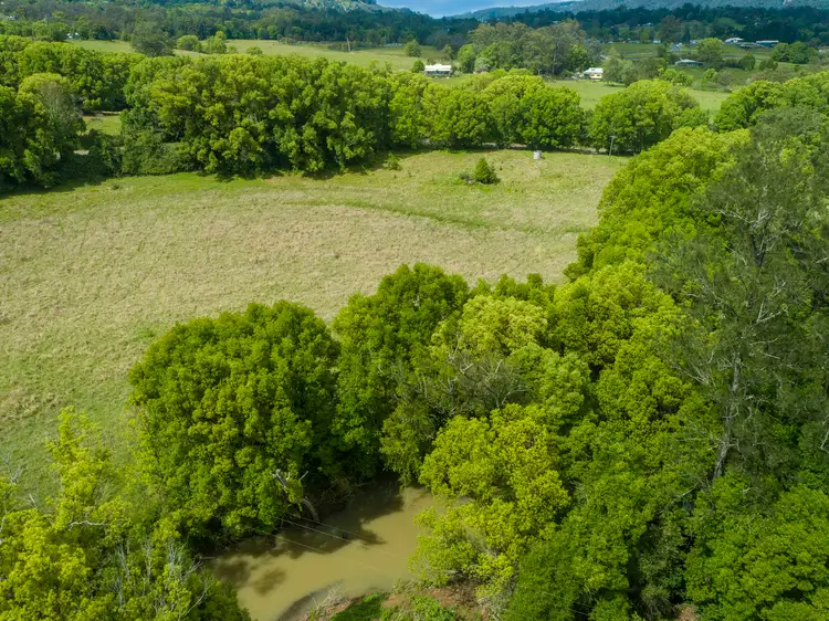 Seventh view of Homely rural property listing, 74 Tuntable Falls Road, Nimbin NSW 2480
