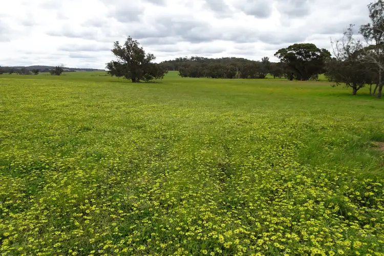 Second view of Homely rural property listing, 411 Edwards Road, Wandering WA 6308