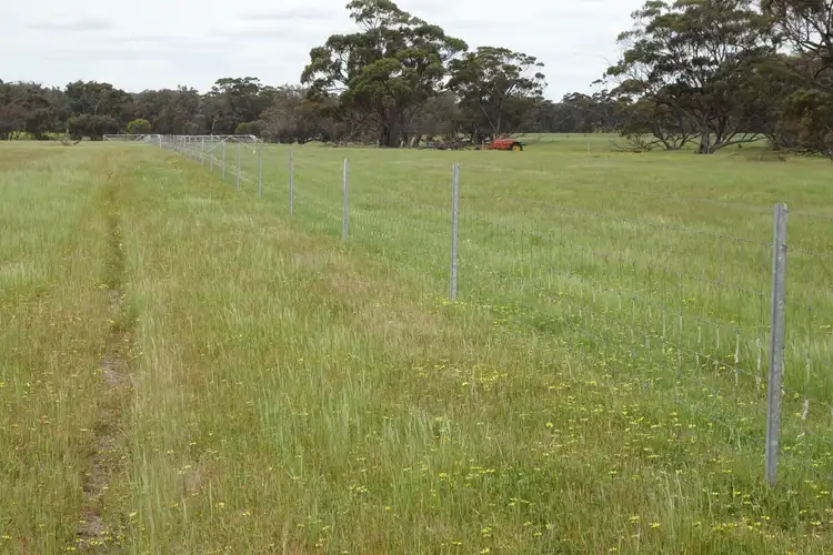 Fifth view of Homely rural property listing, 411 Edwards Road, Wandering WA 6308