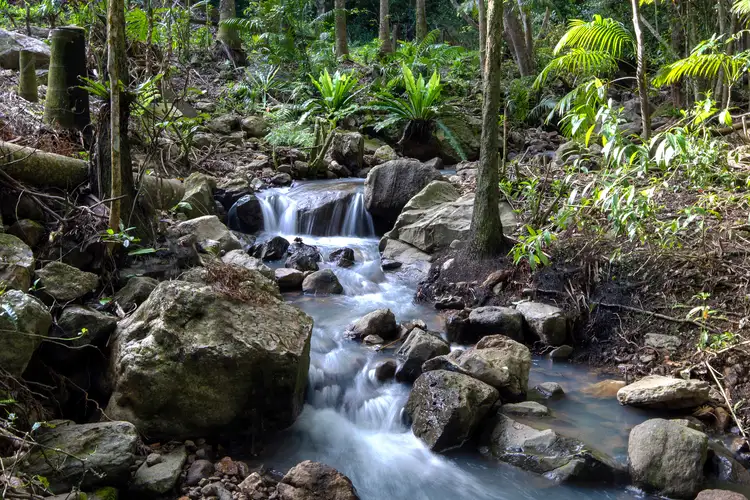 Second view of Homely land listing, 1678 Currumbin Creek Road, Currumbin Valley QLD 4223