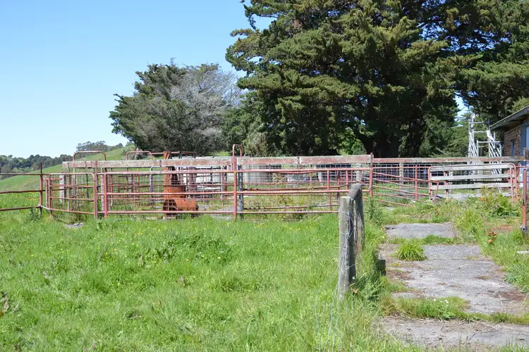 Fifth view of Homely rural property listing, 809 Stony Creek-Dollar Road, Foster North VIC 3960