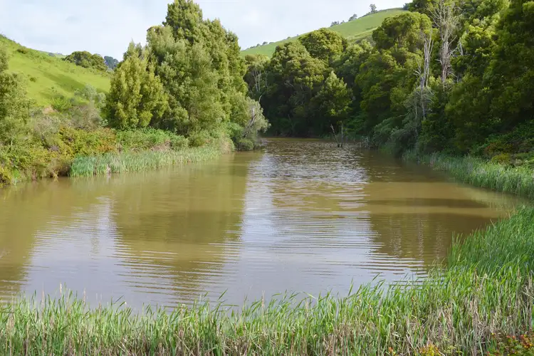 Seventh view of Homely rural property listing, 809 Stony Creek-Dollar Road, Foster North VIC 3960