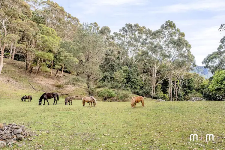 Main view of Homely house listing, 1 Saywell Place, Wombarra NSW 2515