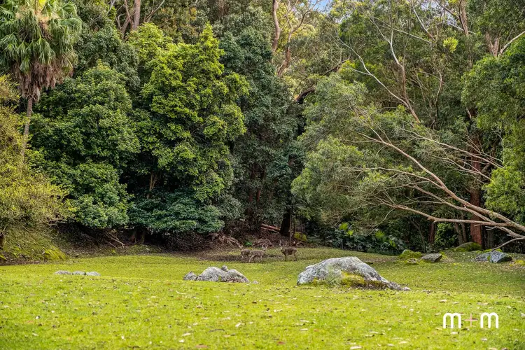 Fifth view of Homely house listing, 1 Saywell Place, Wombarra NSW 2515